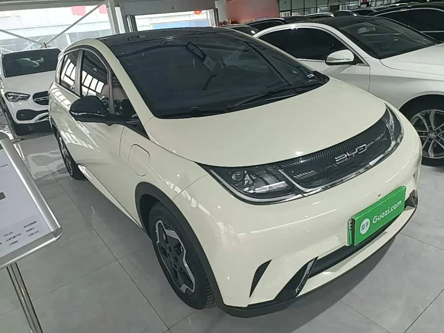 BYD Dolphin