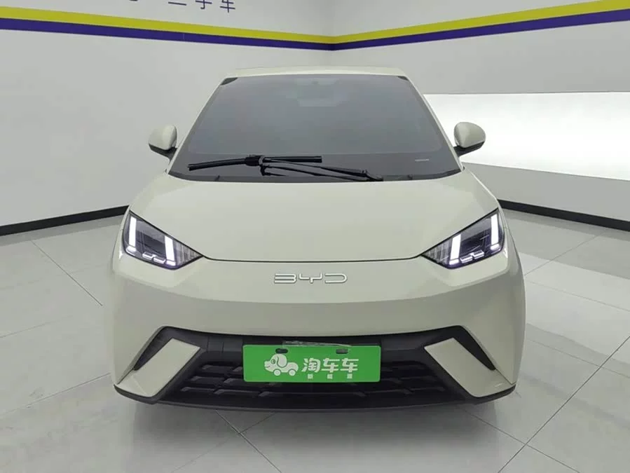 BYD Seagull