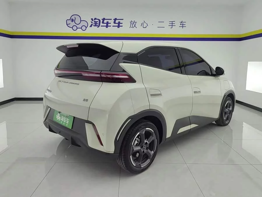 BYD Seagull