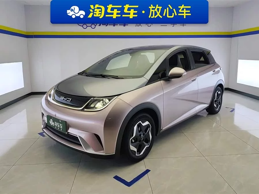 BYD Dolphin
