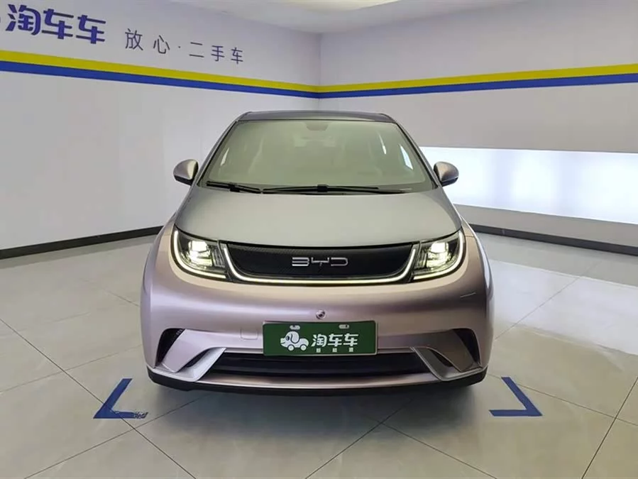 BYD Dolphin