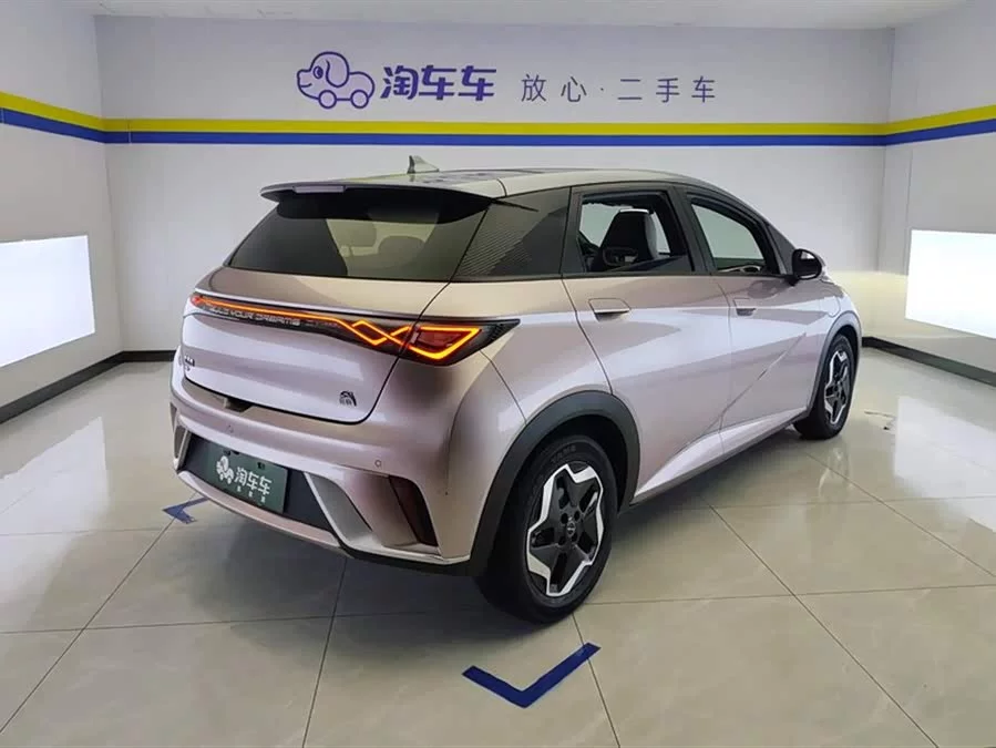 BYD Dolphin