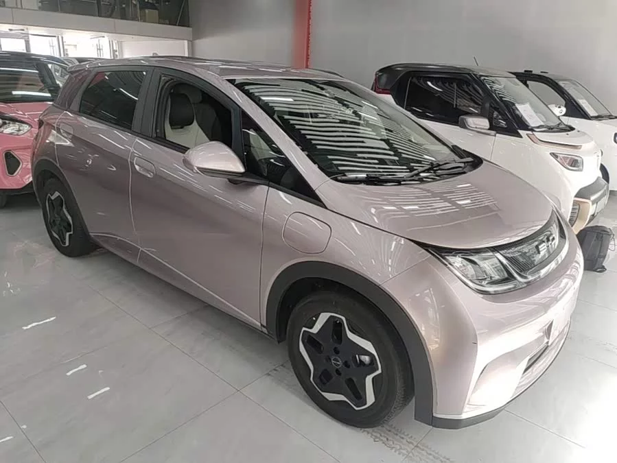 BYD Dolphin