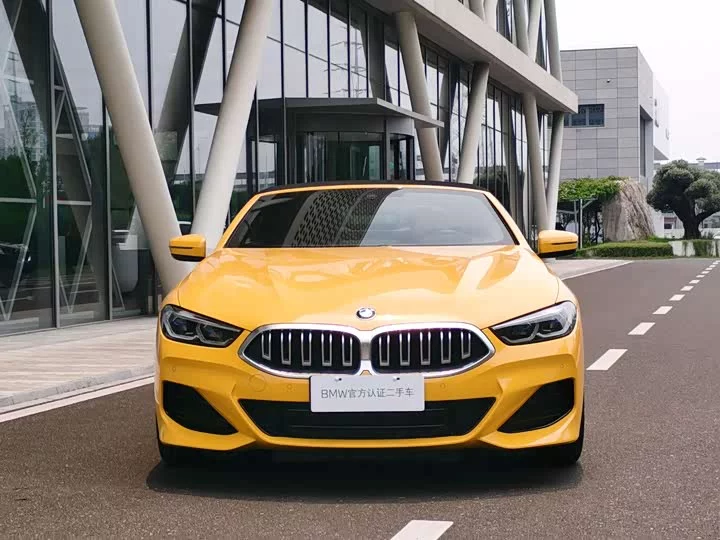 BMW 8 series
