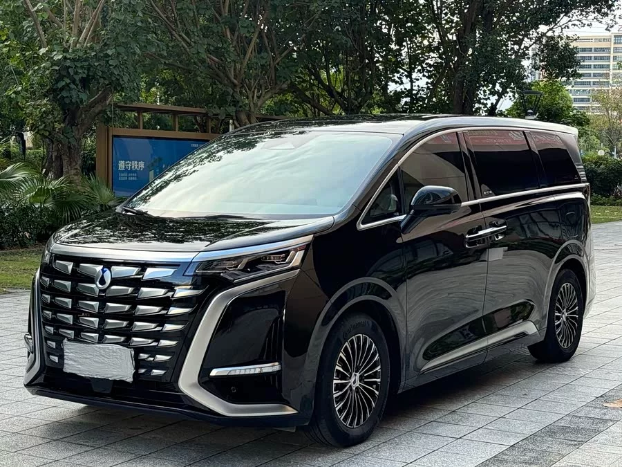 BYD D9