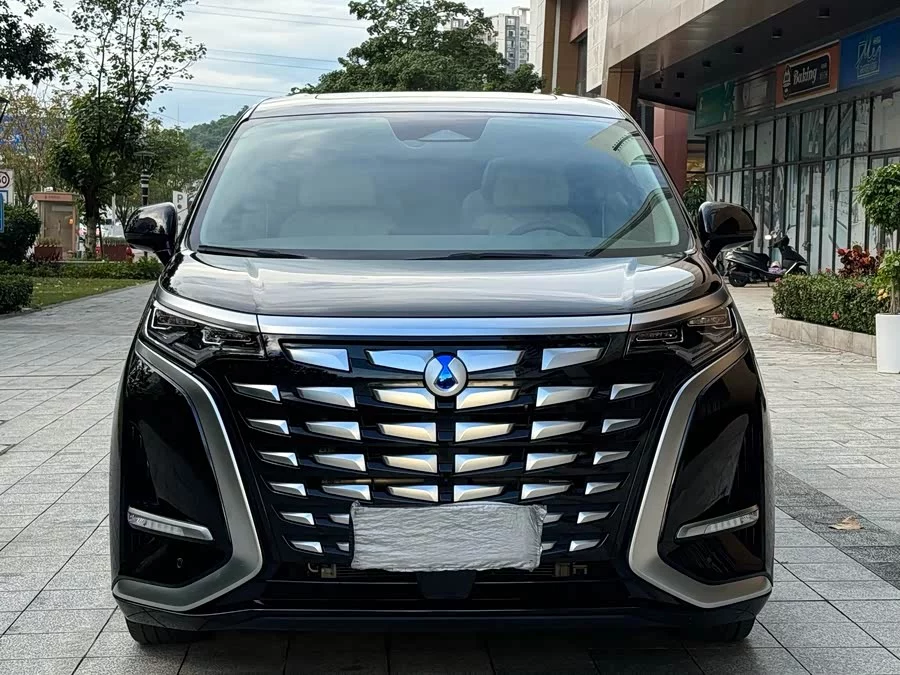 BYD D9