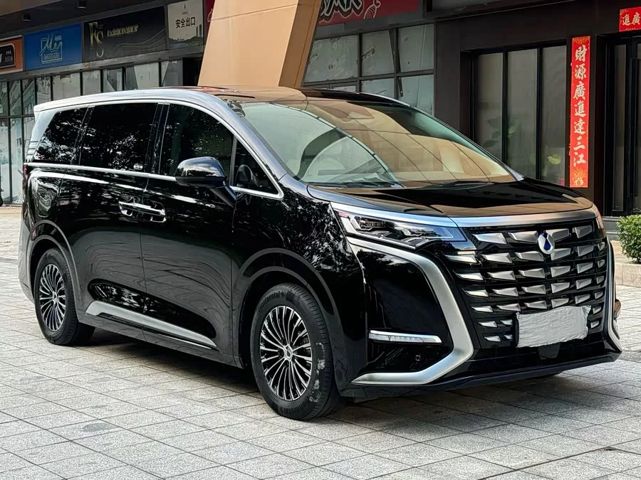 BYD D9