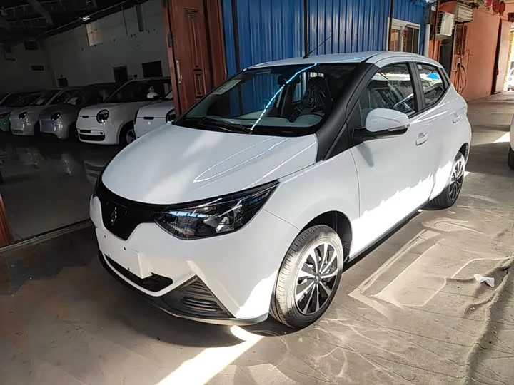 Jiangling Easy EV2