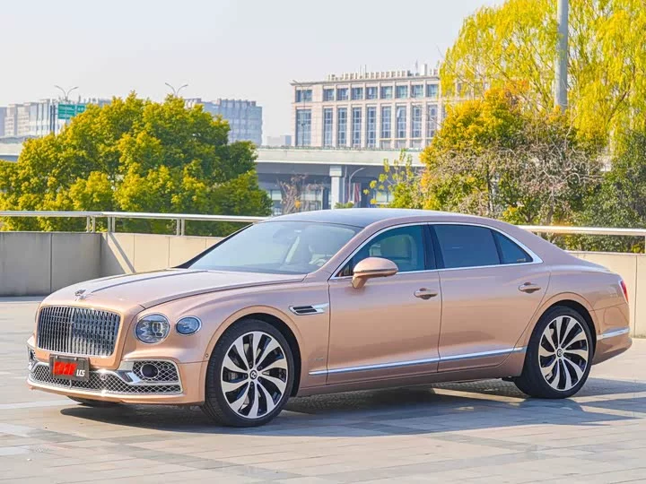 Bentley galloping
