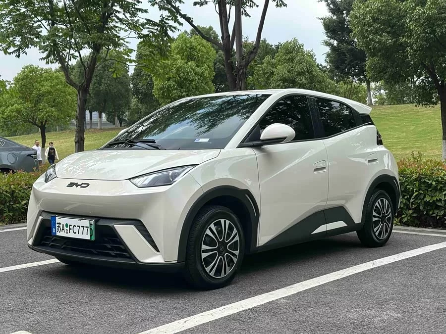 BYD Seagull