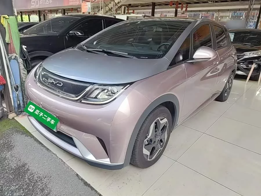 BYD Dolphin