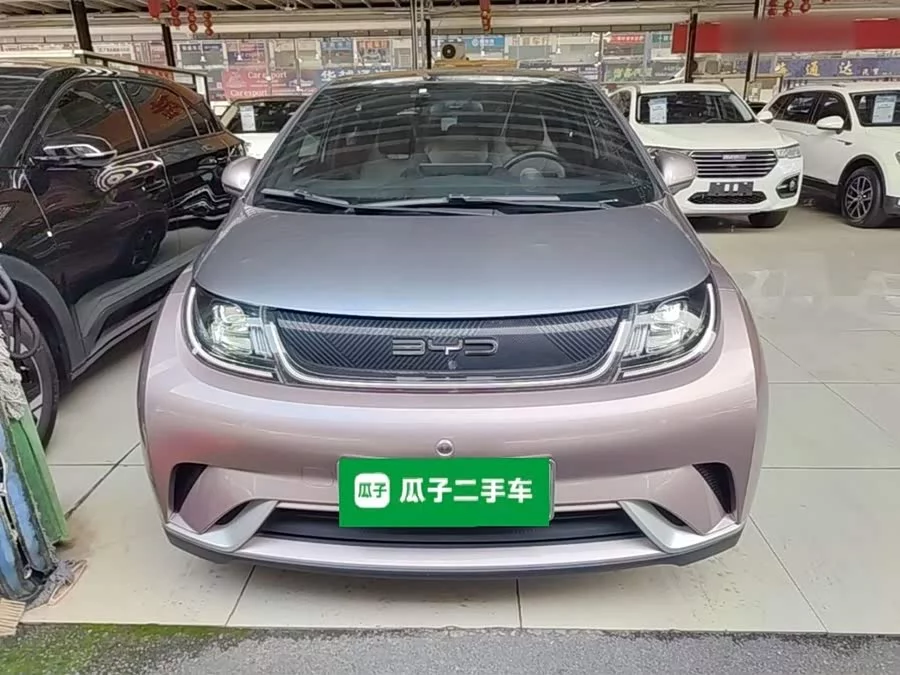 BYD Dolphin