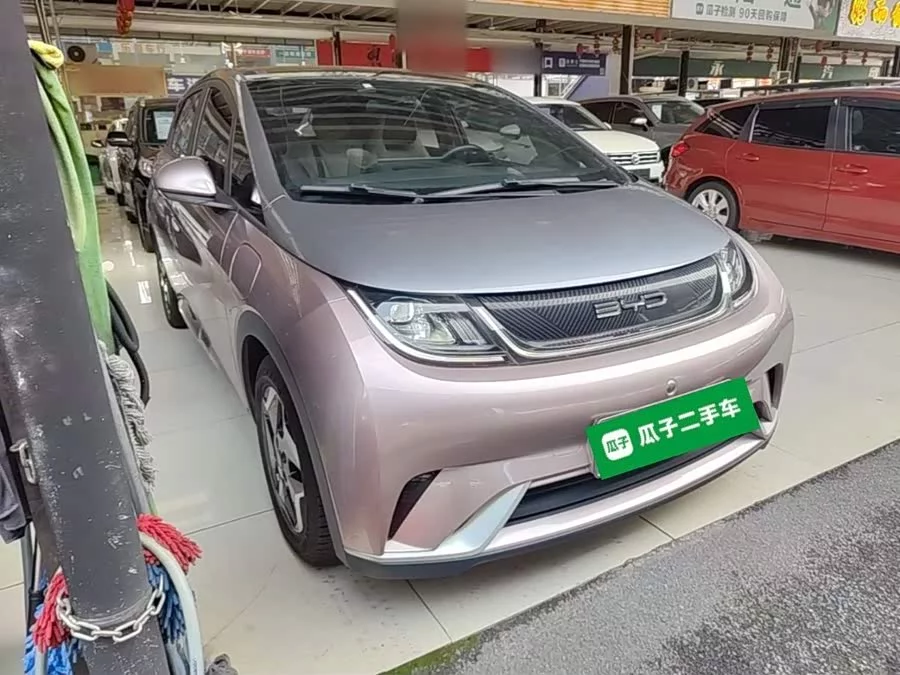 BYD Dolphin