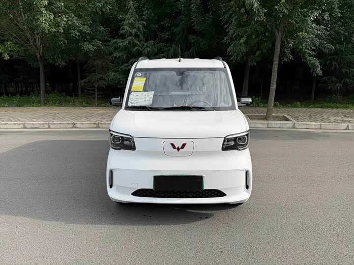 Wuling Zhiguang New Energy