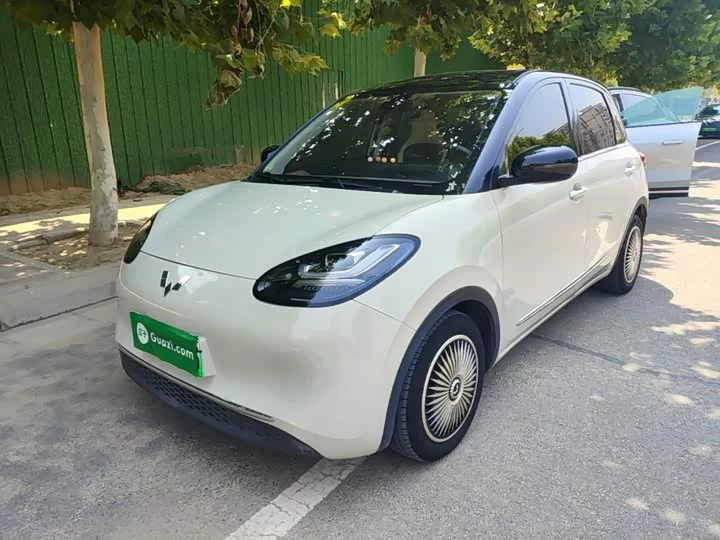 Wuling Bingo