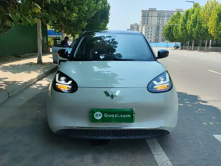 Wuling Bingo