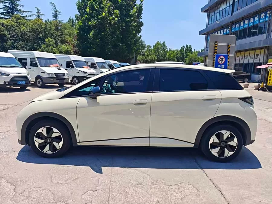 BYD Dolphin