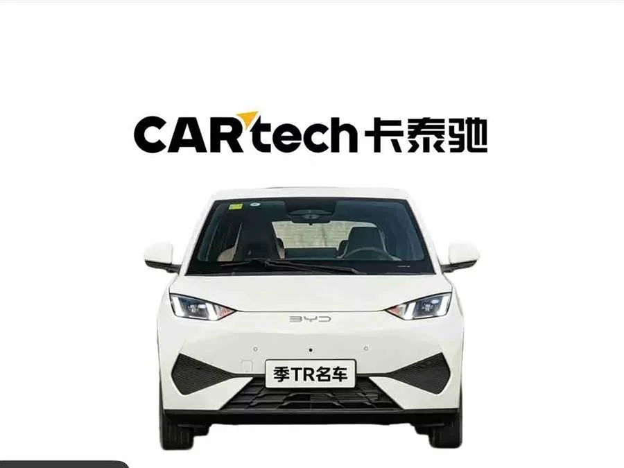 BYD Seagull