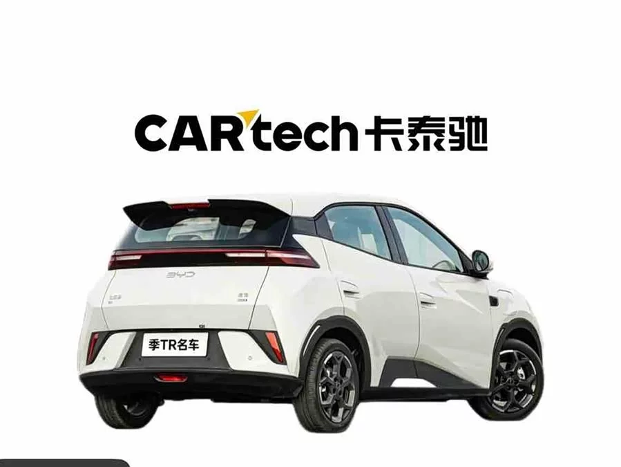 BYD Seagull