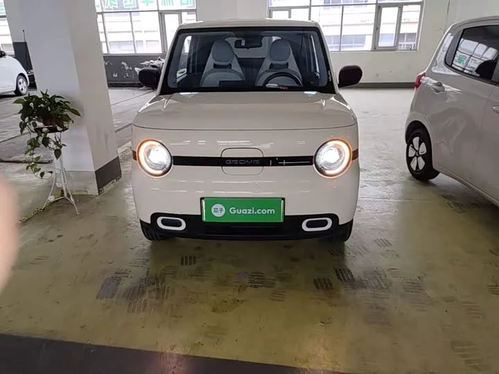 Geely panda