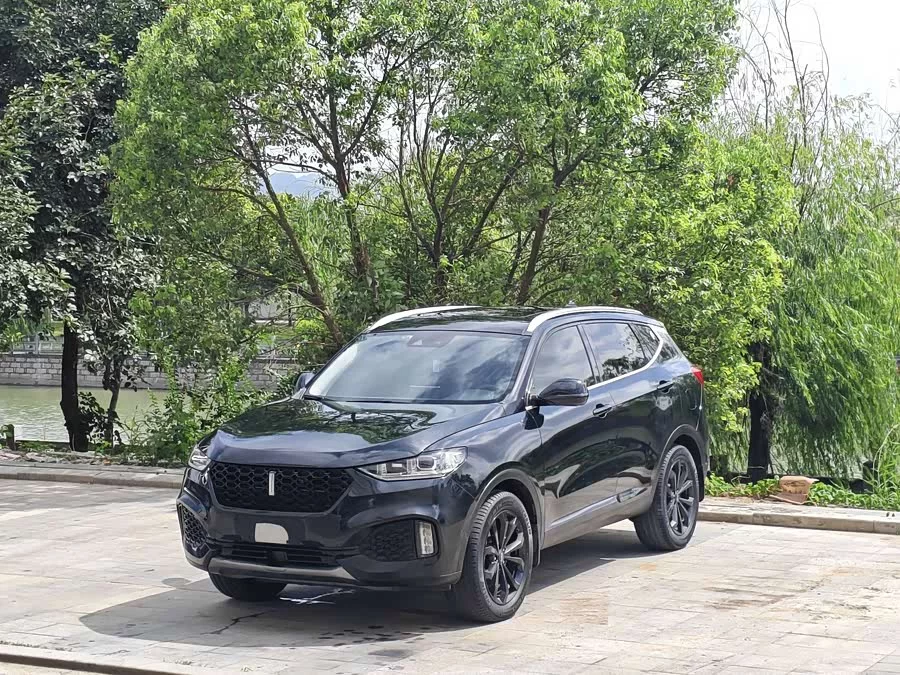Wey VV6