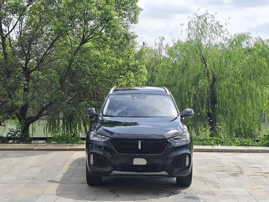 Wey VV6