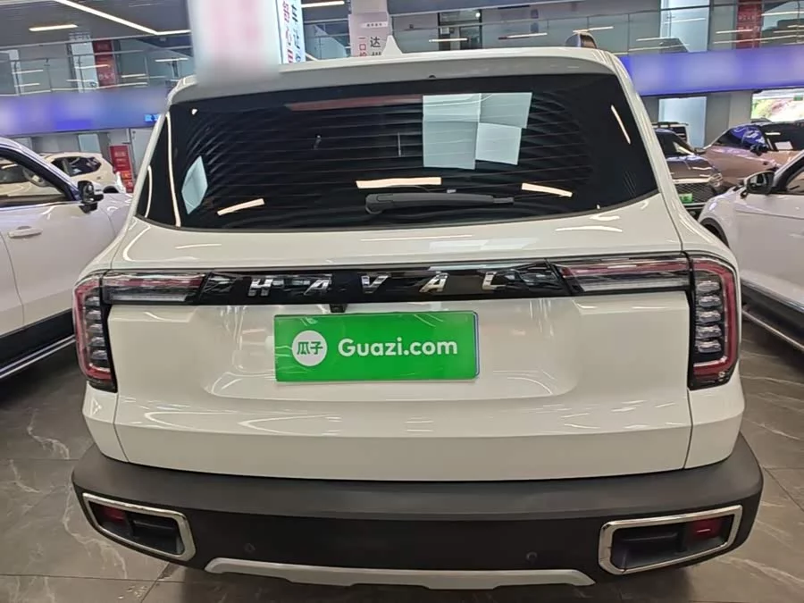 Haval Big Dog DaGou