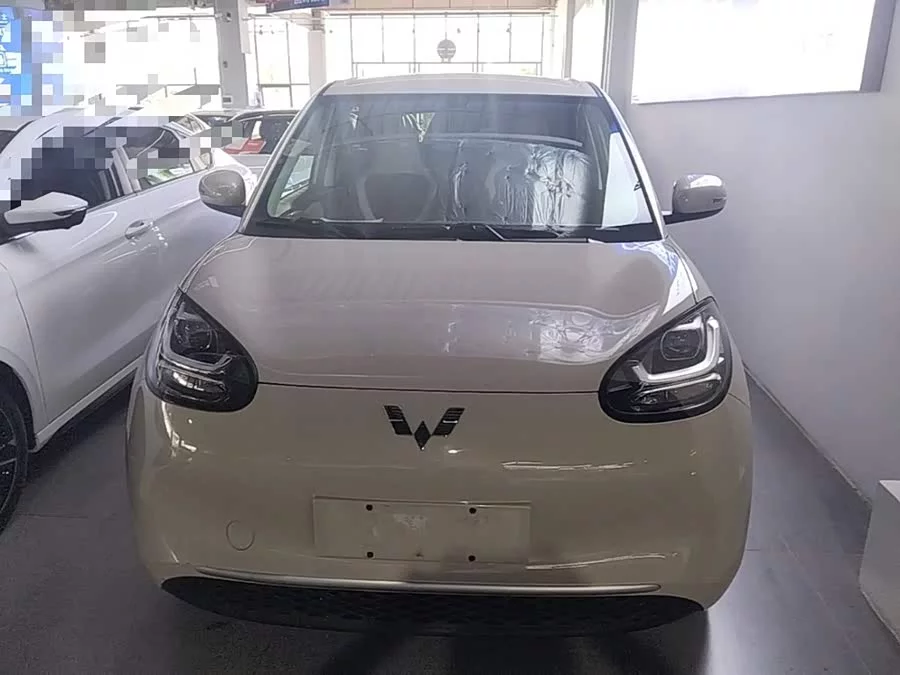 Wuling Bingo