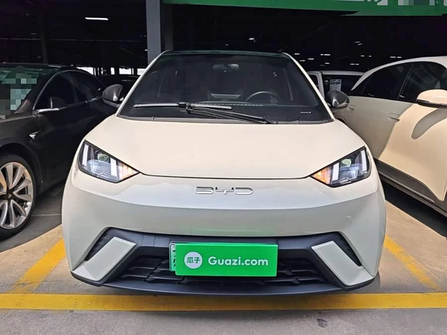 BYD Seagull
