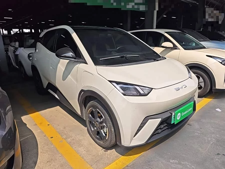 BYD Seagull