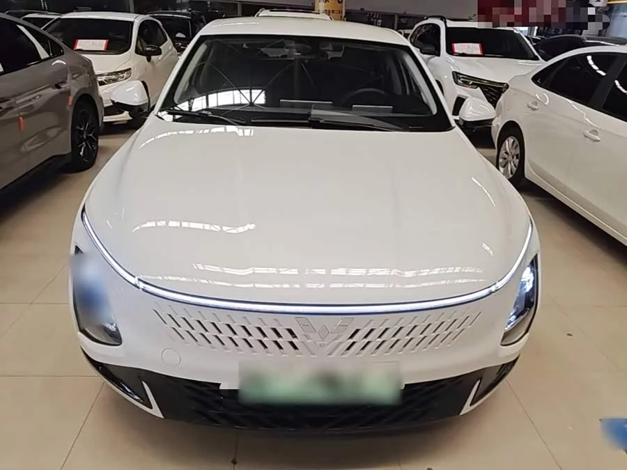 Wuling Starlight