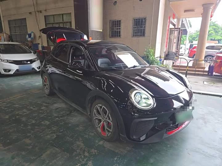 ORA Good Cat GT