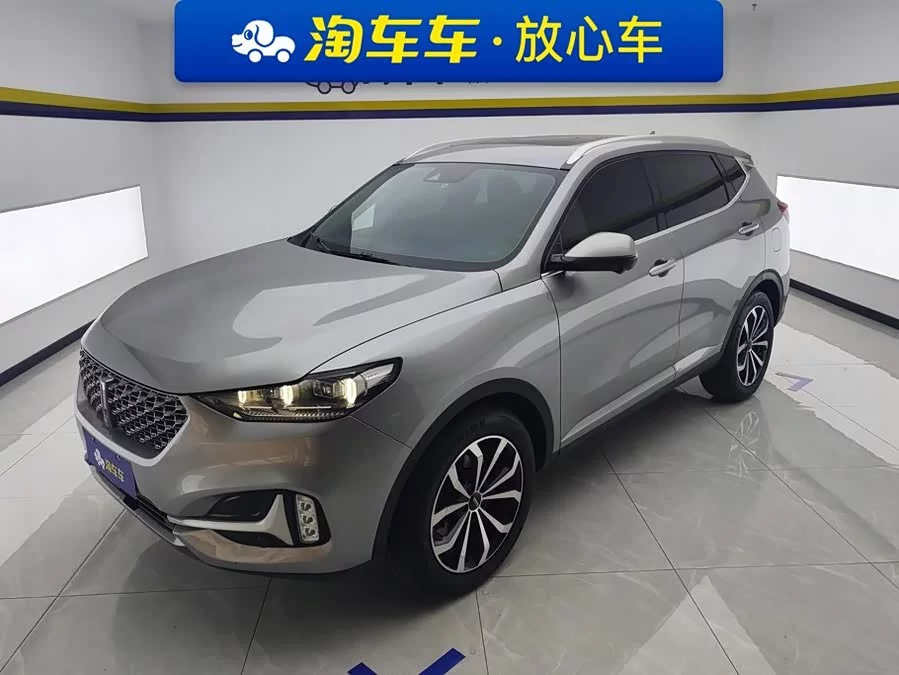 Wey VV6