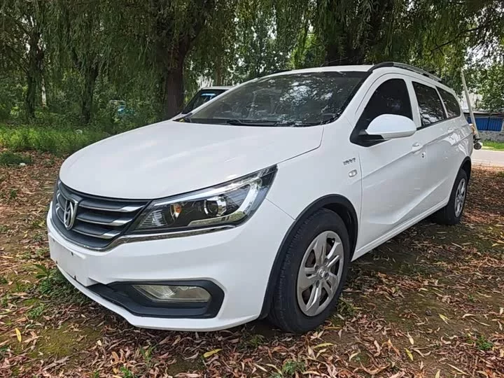 Baojun 310W
