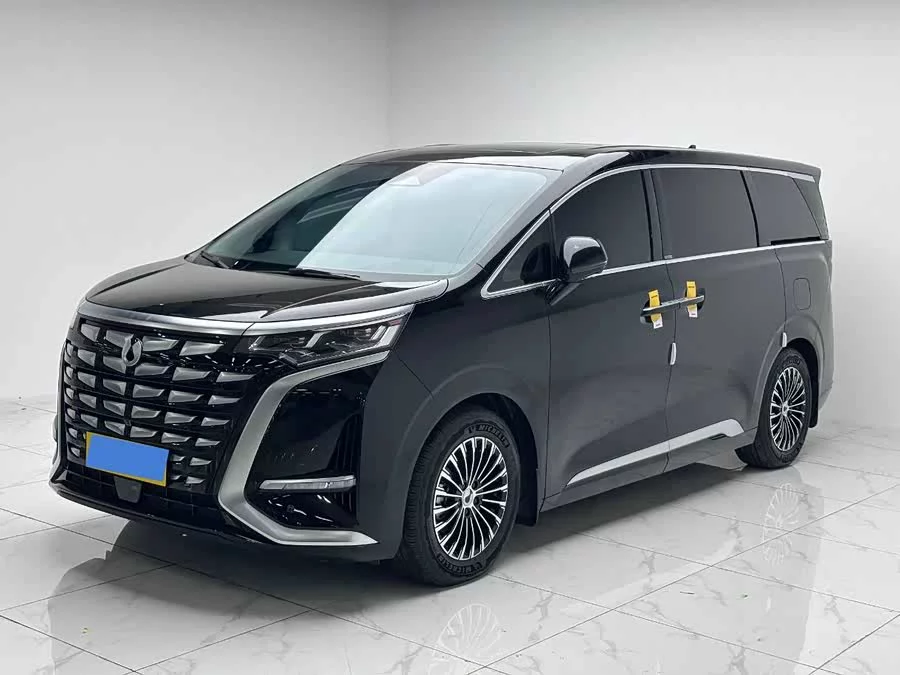 BYD D9