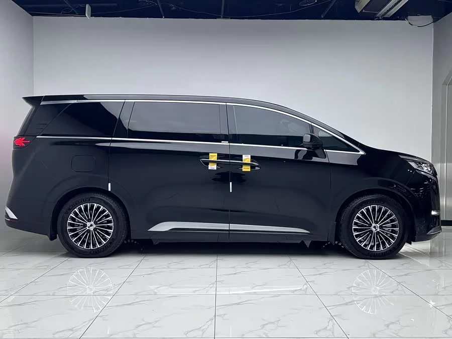 BYD D9