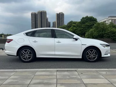 BYD Qin Pro New Energy