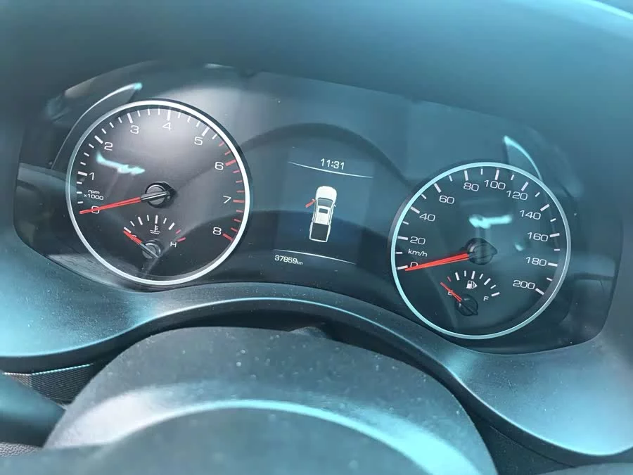 Great Wall gun
