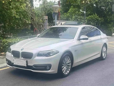 BMW 5 Series New Energy