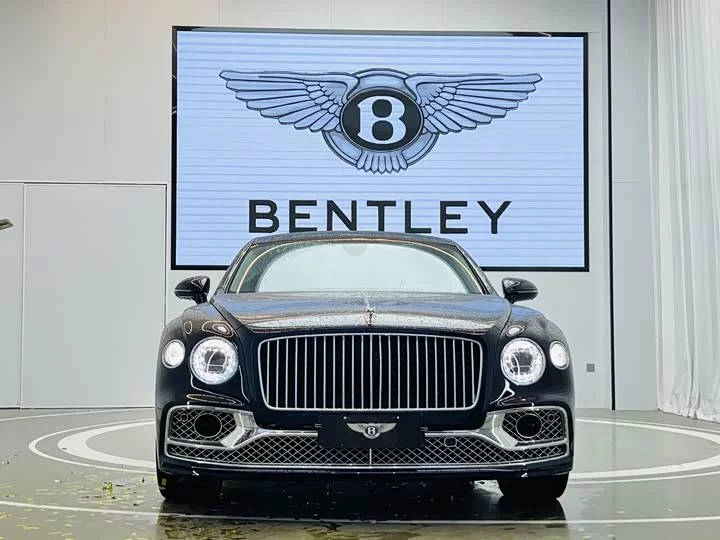 Bentley galloping