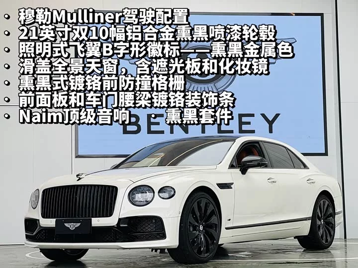 Bentley galloping