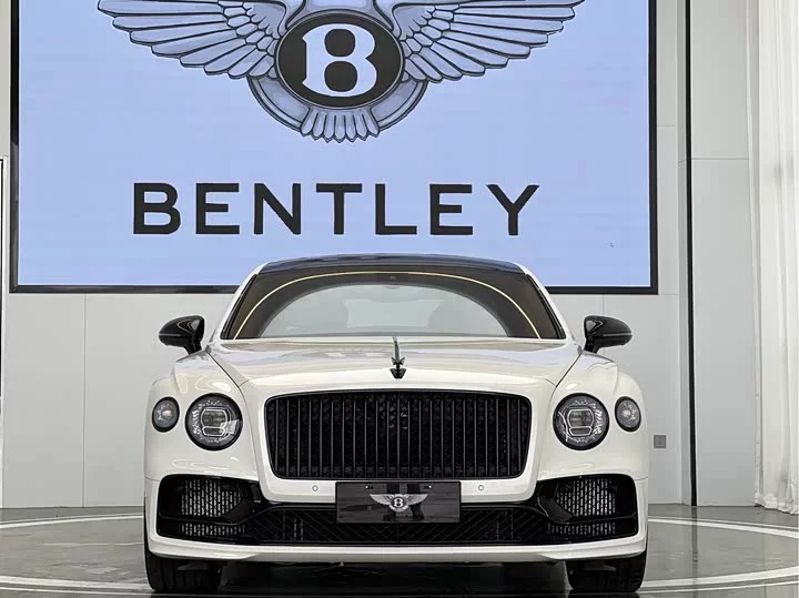 Bentley galloping