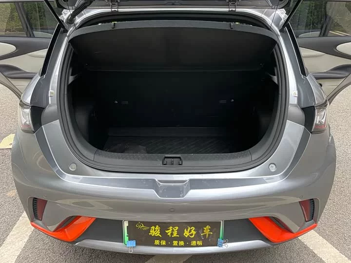 BYD dolphin