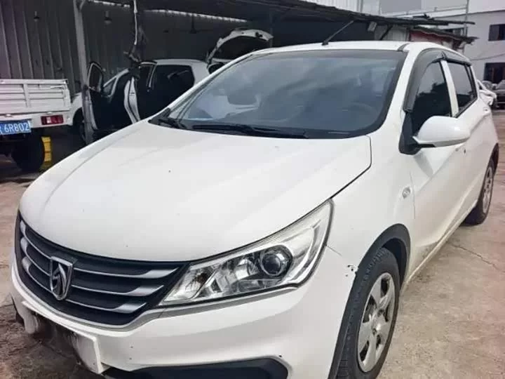 Baojun 310