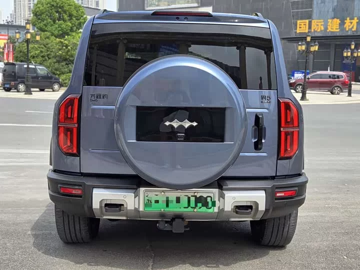 BYD Leopard Leopard 5