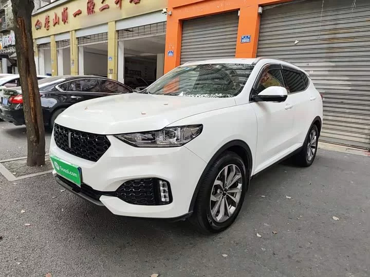 Wey VV6