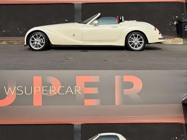 Mitsuoka Queen