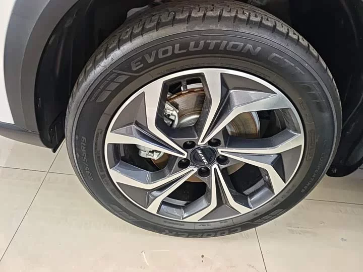 Haval Shenshou