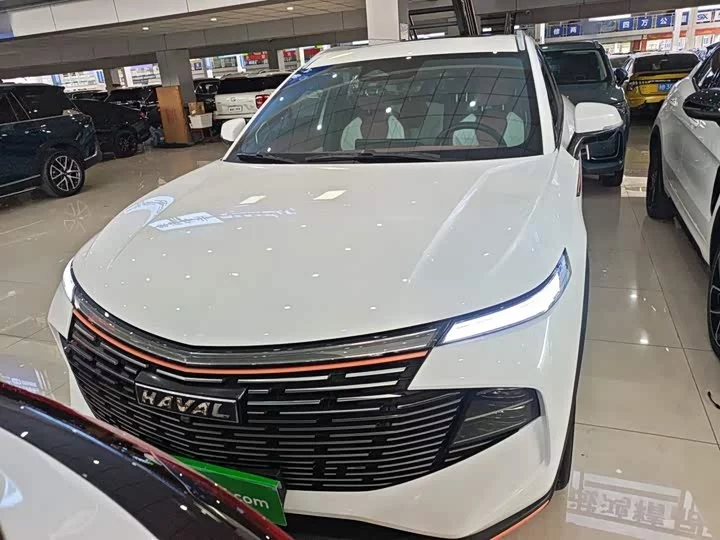 Haval Shenshou