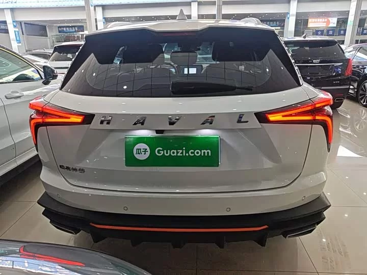 Haval Shenshou